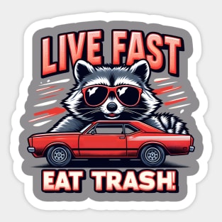 Possum Raccoon Live Fast Eat Trash Street Cats Squad Sticker